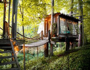 Airbnb-Tree-House